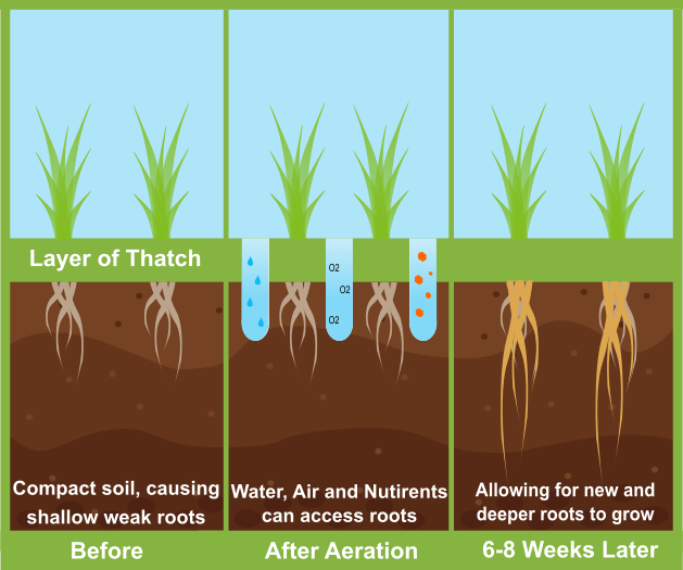 Why Aerate Asset